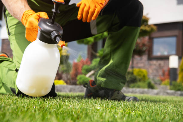 Best Residential Pest Control  in West Brattleboro, VT