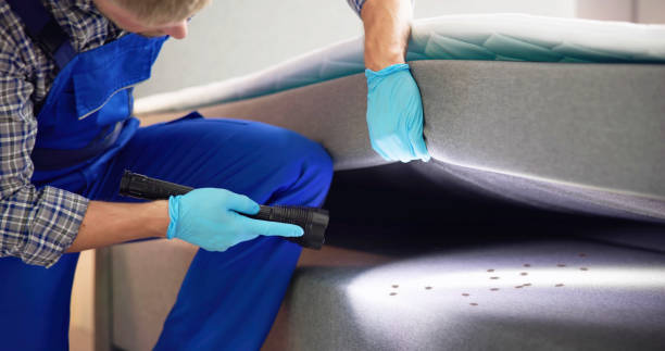 Best Pest Control for Homes  in West Brattleboro, VT