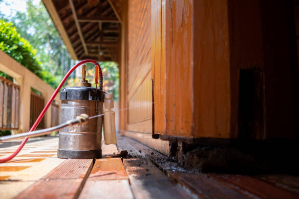 Best Pest Prevention Services  in West Brattleboro, VT