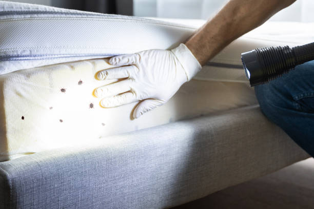 Best Pest Inspection Near Me  in West Brattleboro, VT