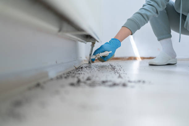 Trusted West Brattleboro, VT Pest Control Experts